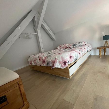 A L'Ombre Du Figuier Leilighet Horbourg Eksteriør bilde